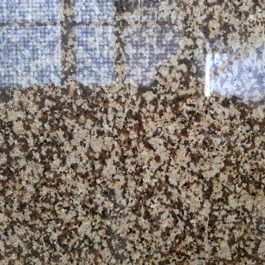 Amarillo SM  granite