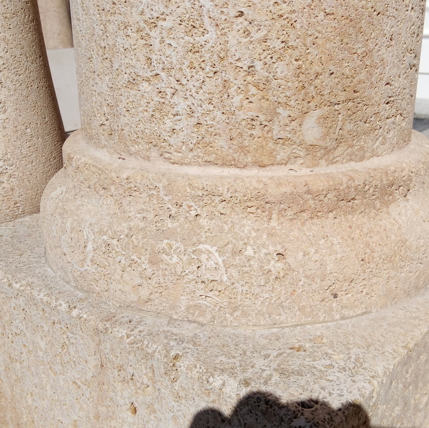 Amarillo Fosil lumaquela