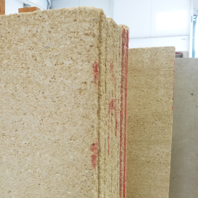 Amarillo Fosil lumaquela slabs